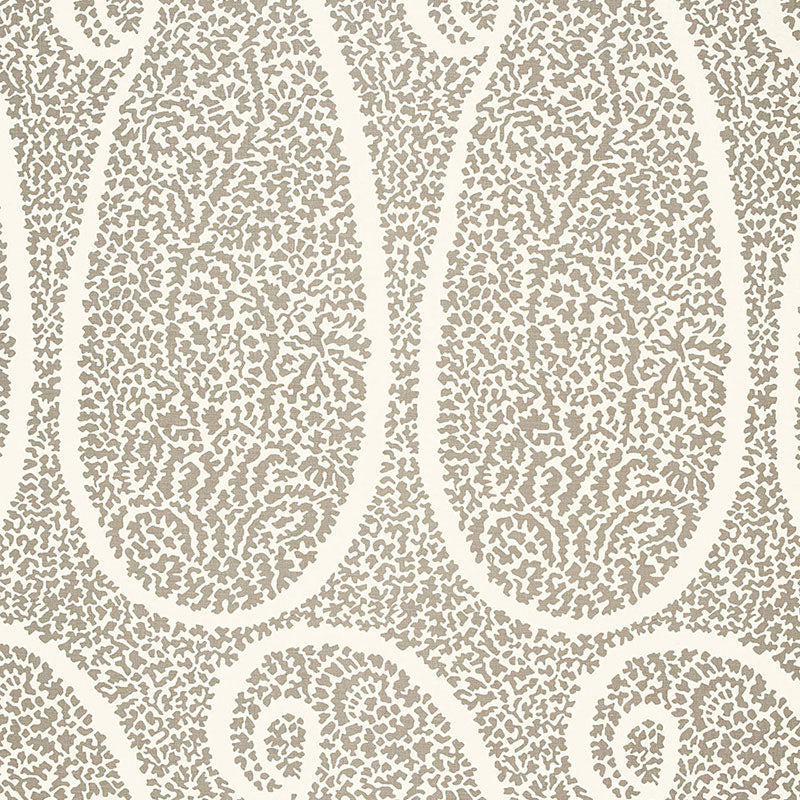 AMBALA PAISLEY | OSTRICA