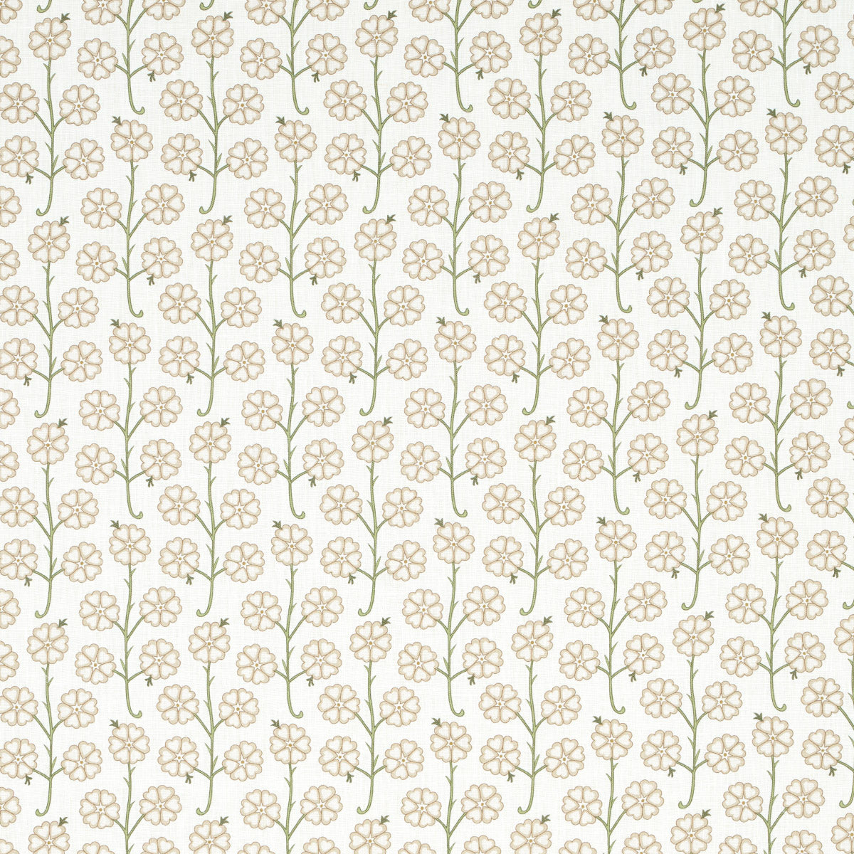 GARDENIA | LINO