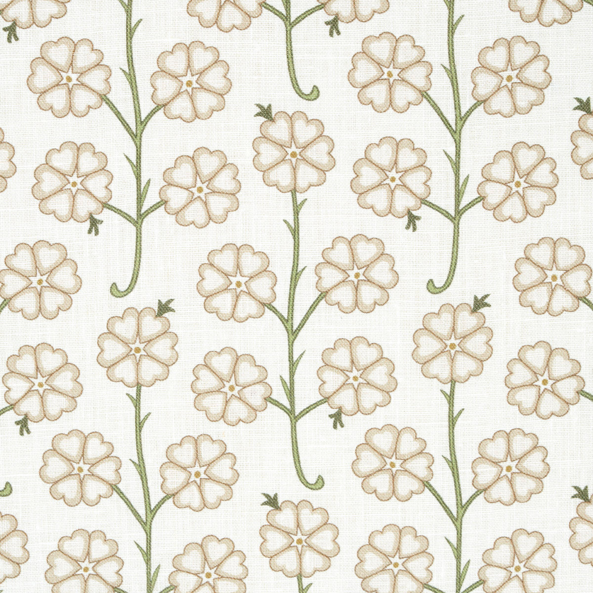 GARDENIA | LINO