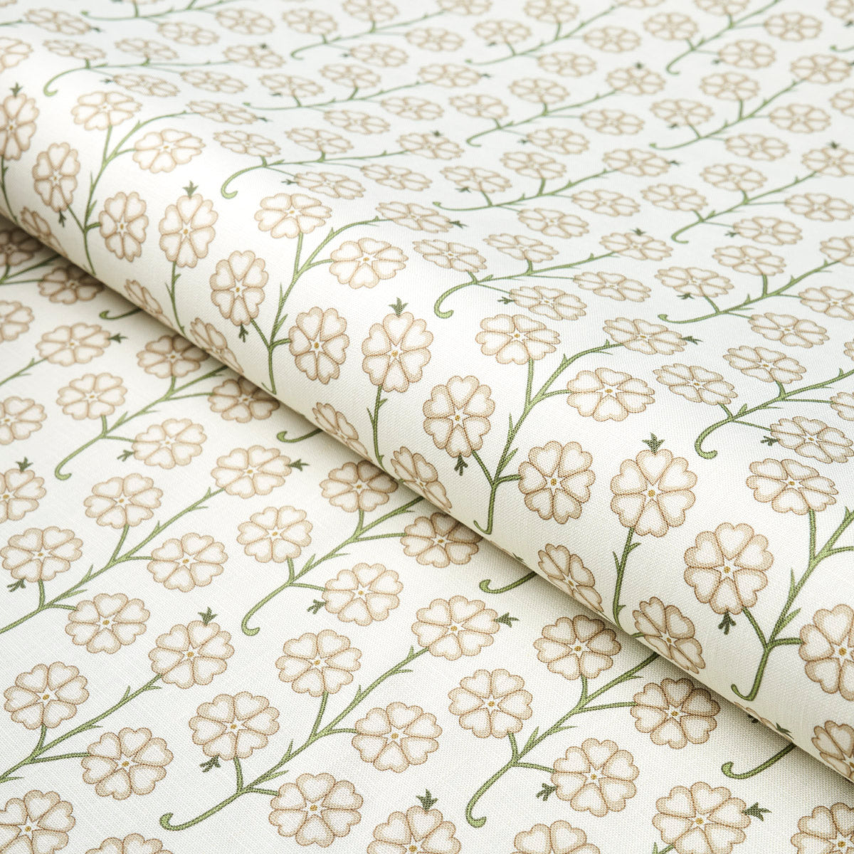 GARDENIA | LINO