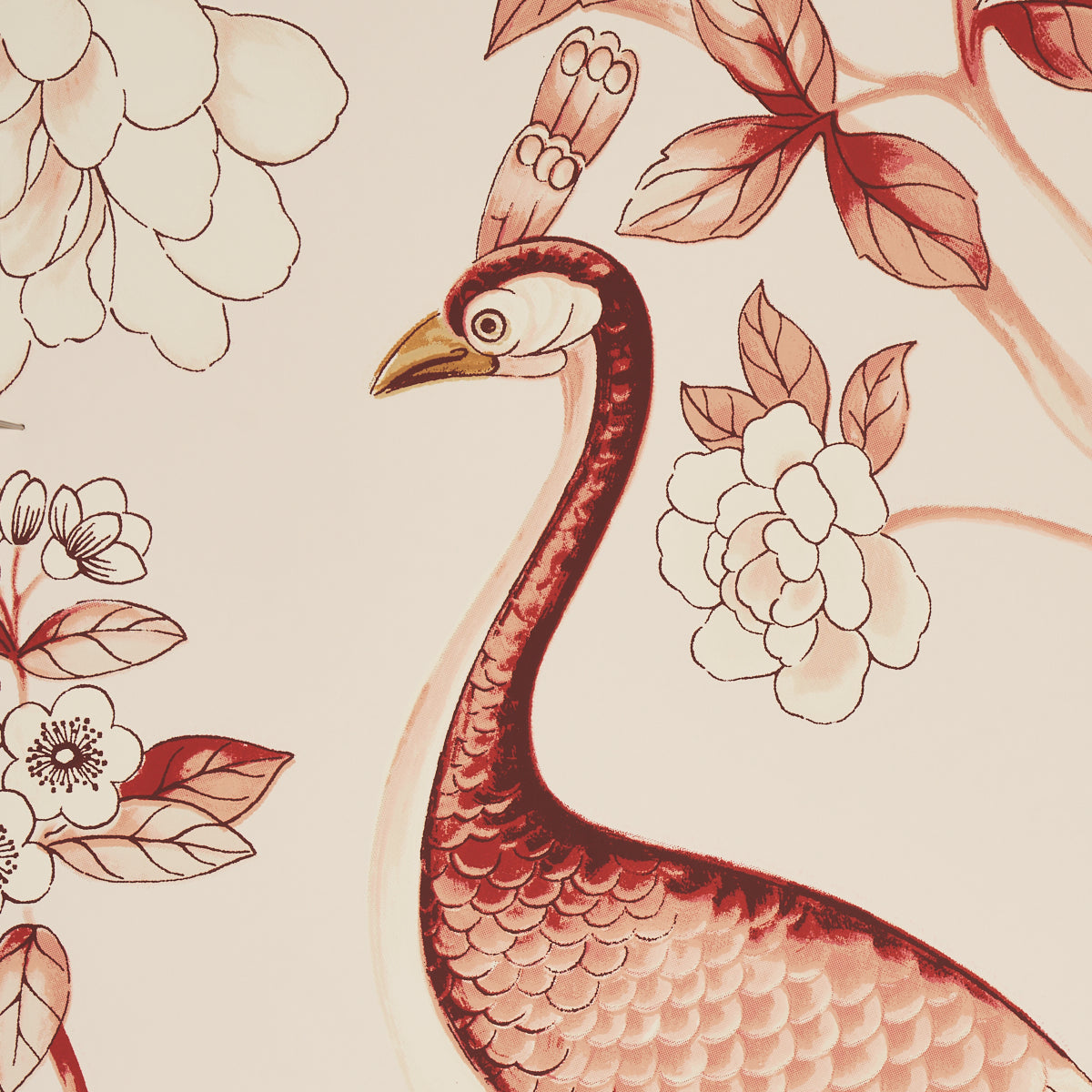 OISEAUX E FLEURS | CINABRO