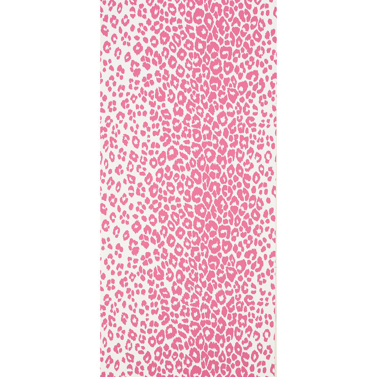 ICONIC LEOPARD | Pink