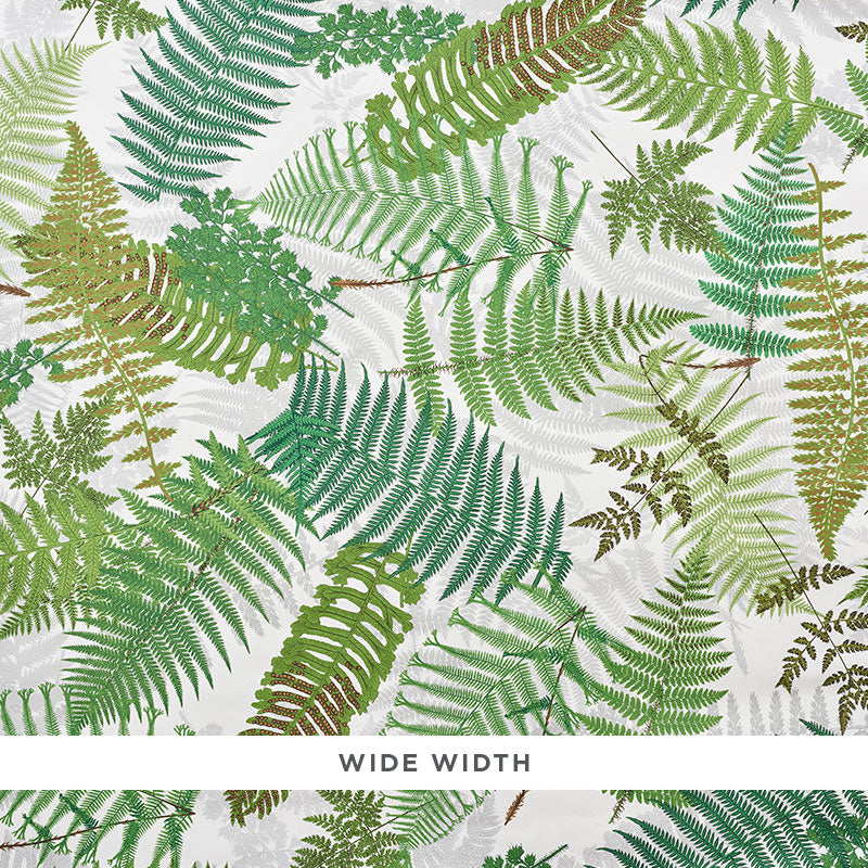 FERNARIUM | Ivory & Leaf