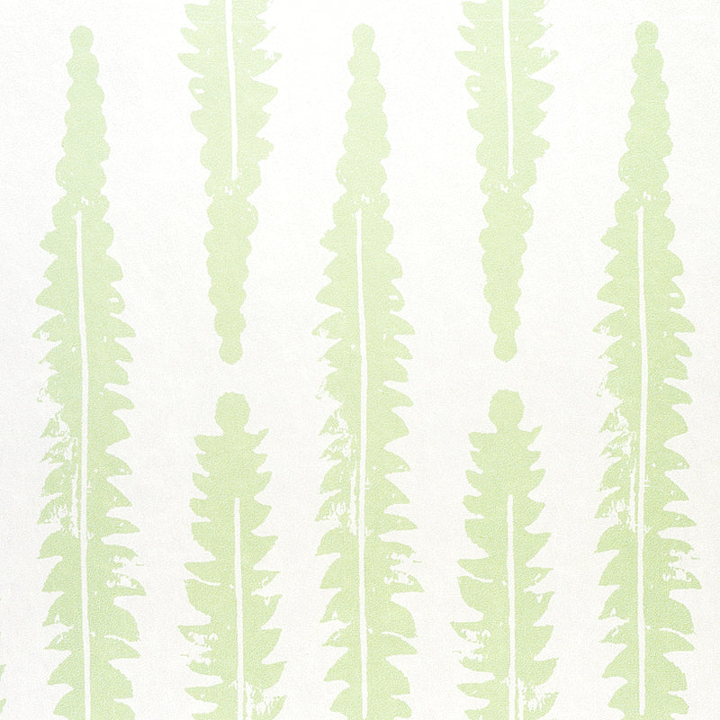 FERN | Sage