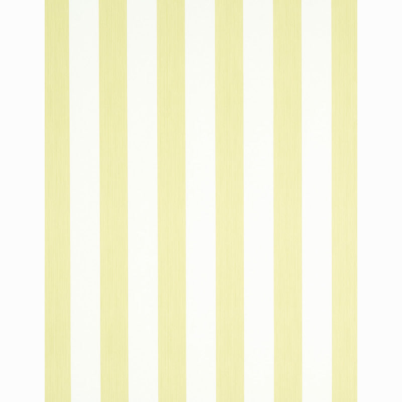 EDWIN STRIPE WIDE | Citron