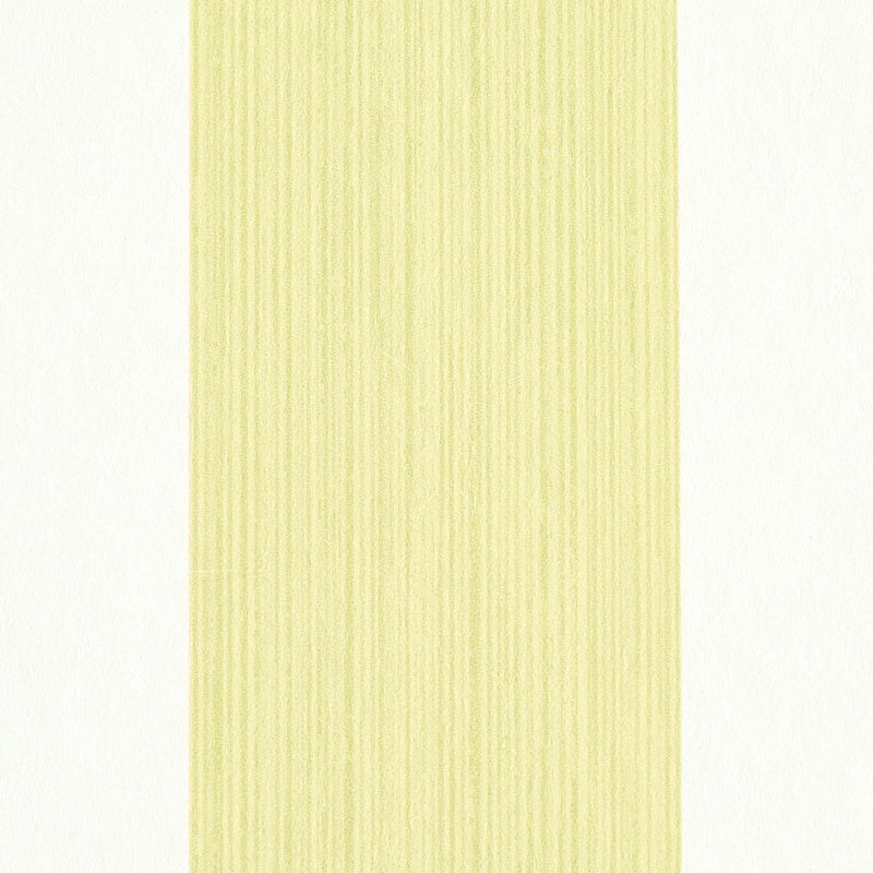 EDWIN STRIPE WIDE | Citron