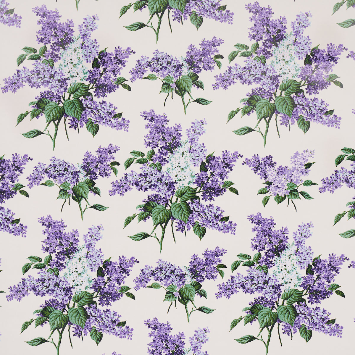 PROUST'S LILACS | Purple