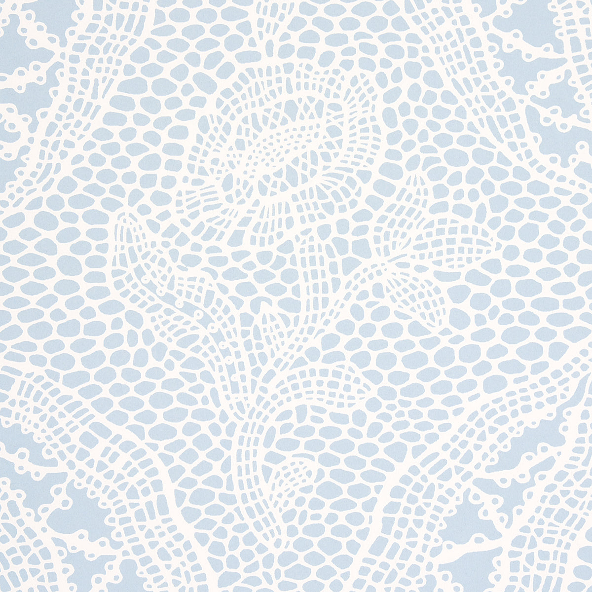 COSETTE LACE | Cornflower