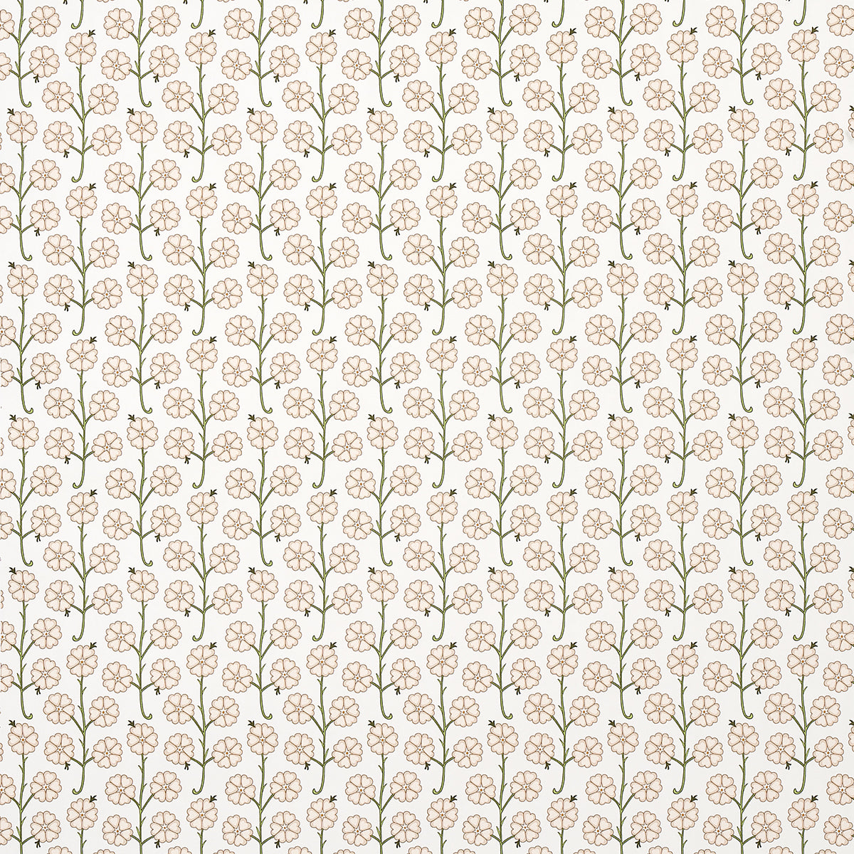 GARDENIA | LINO