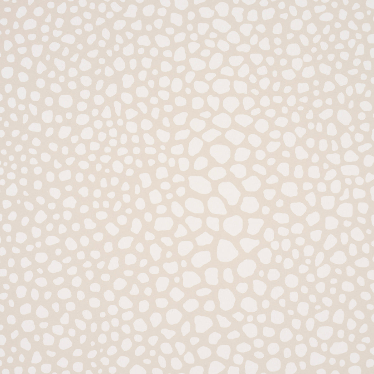 FICKLE TEXTURE | Ivory