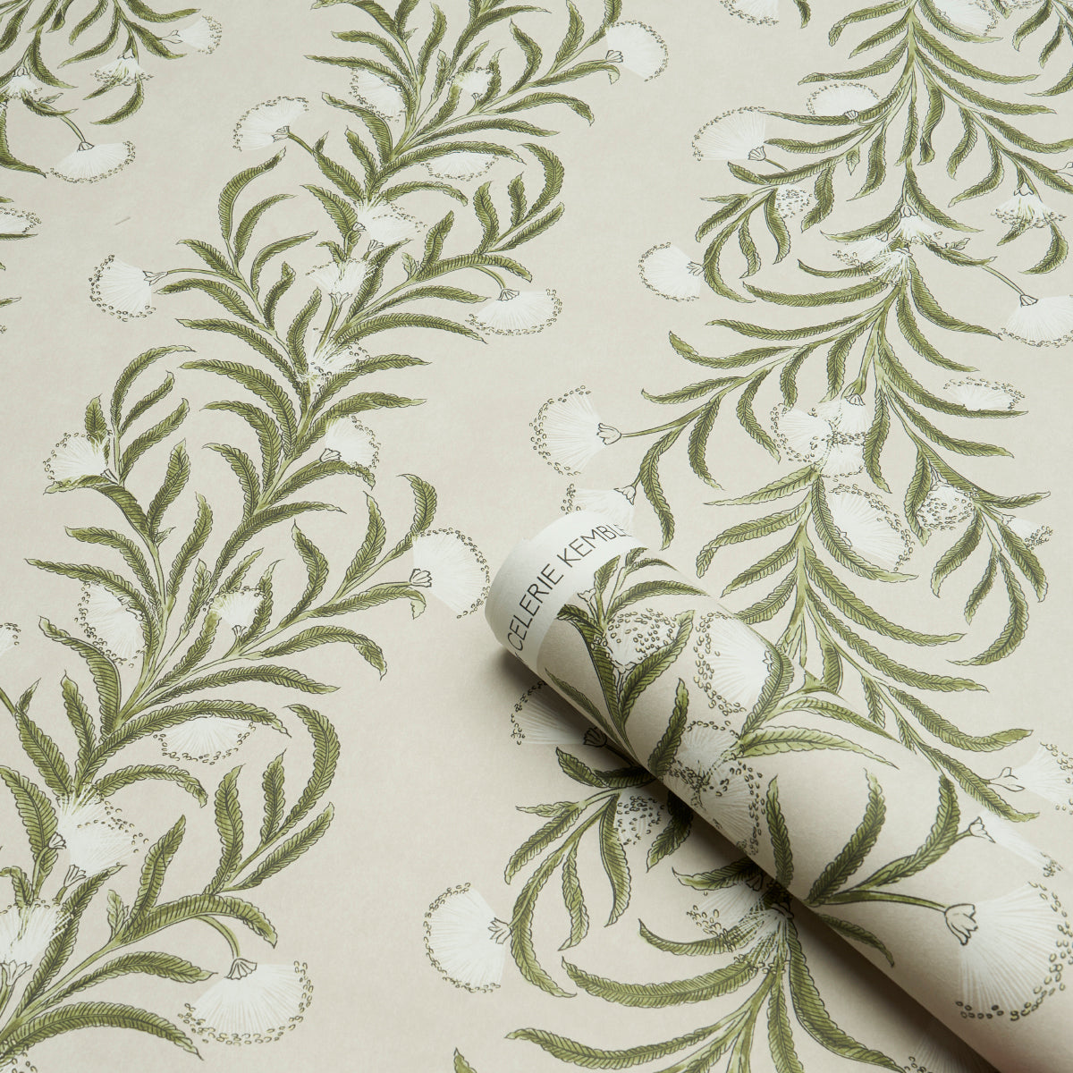 TASMANIAN MIMOSA | Ivory & Green