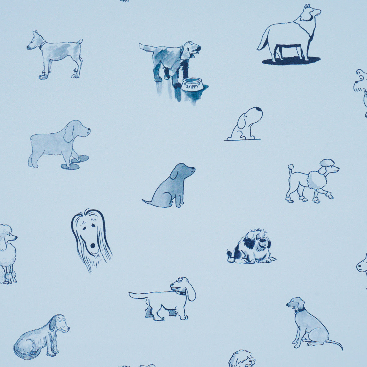 GOOD DOGS EVERYWHERE | Sky & Navy Blue