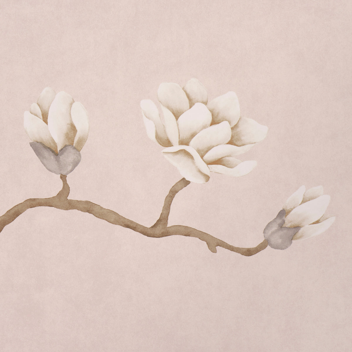 MAGNOLIA TREE | Dusty Blush