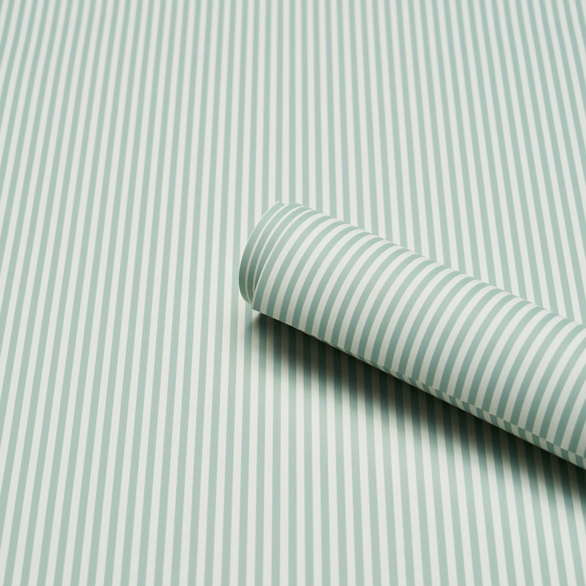 EMMA STRIPE NARROW | Teal