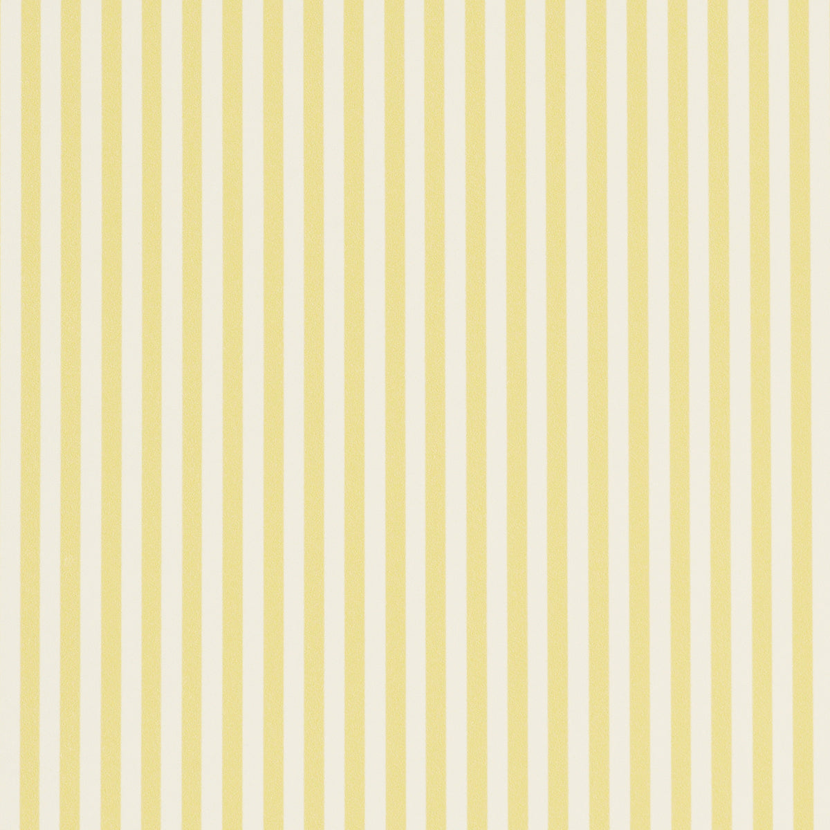 EMMA STRIPE NARROW | Yellow