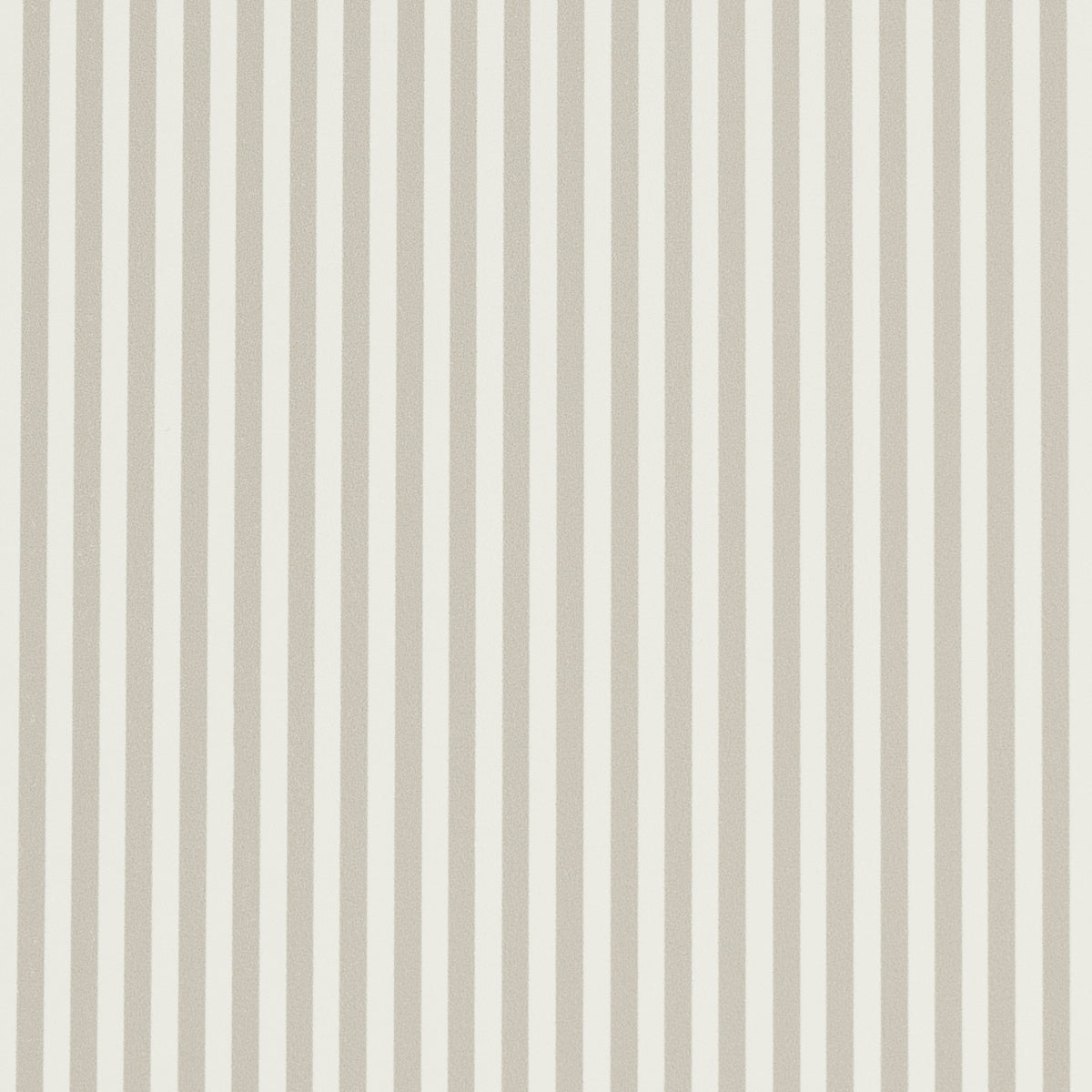 EMMA STRIPE NARROW | Stone