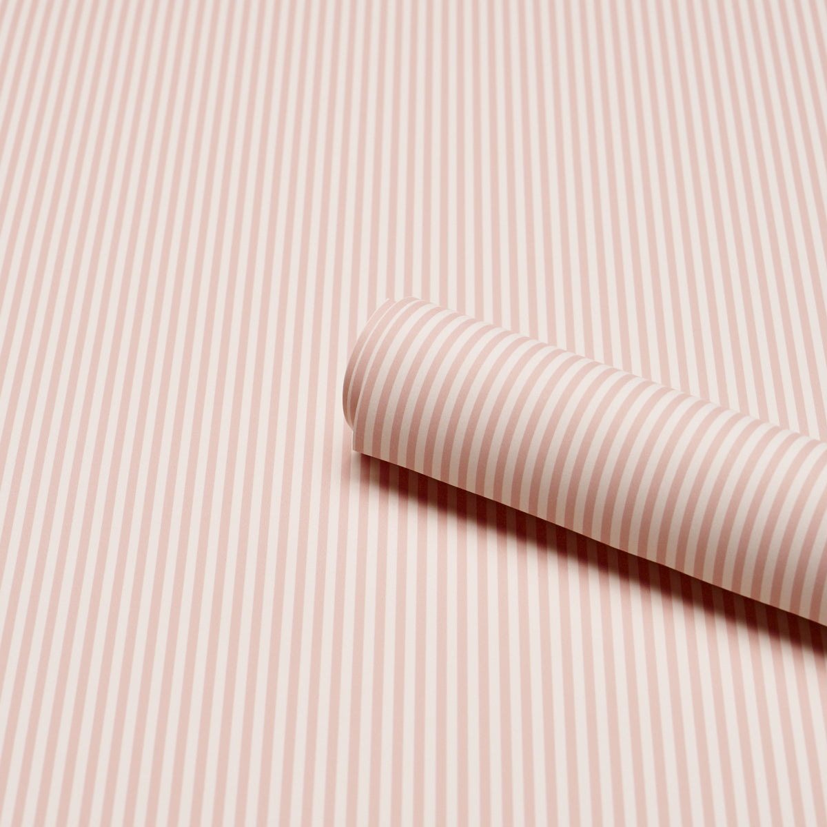 EMMA STRIPE NARROW | Blush