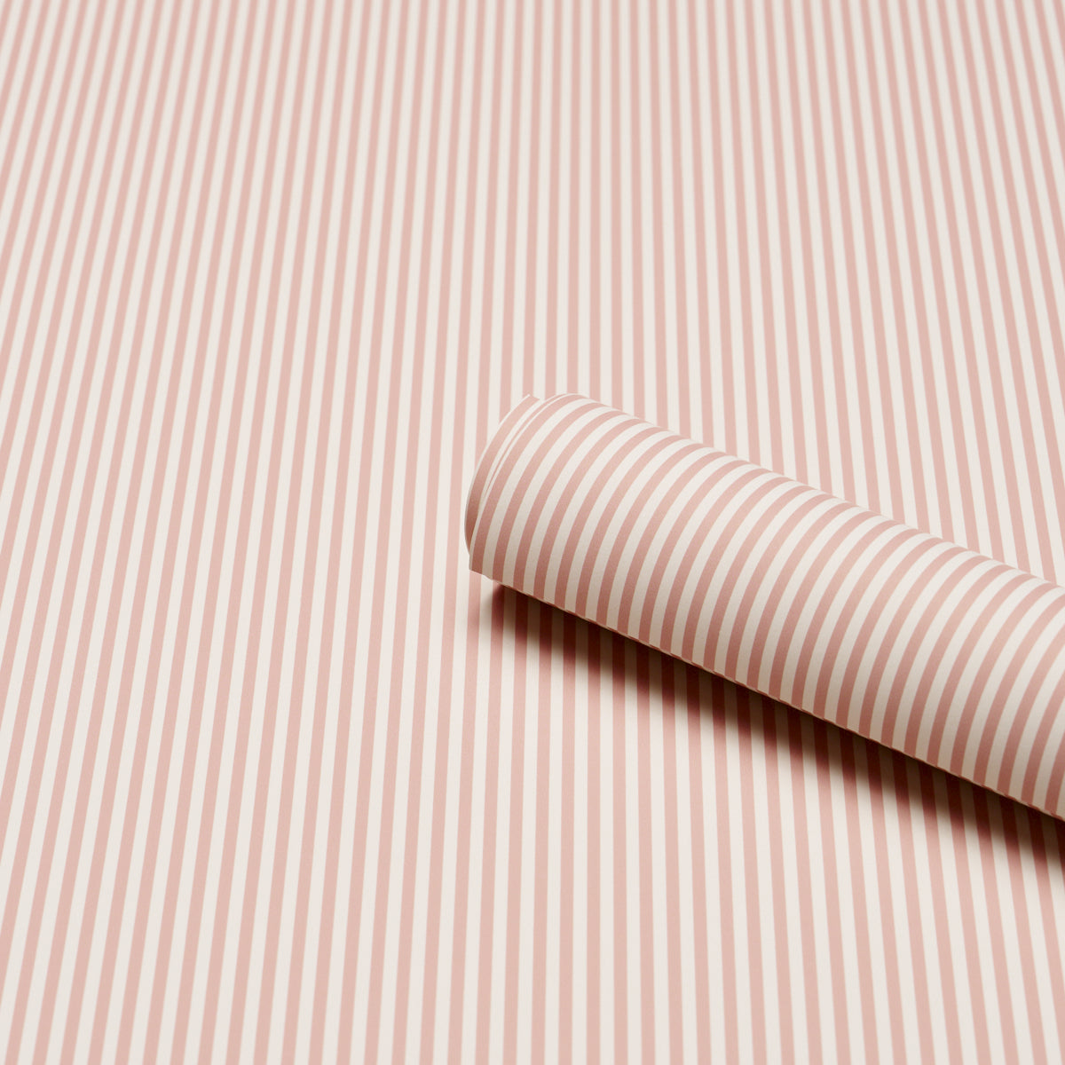 EMMA STRIPE NARROW | Rose