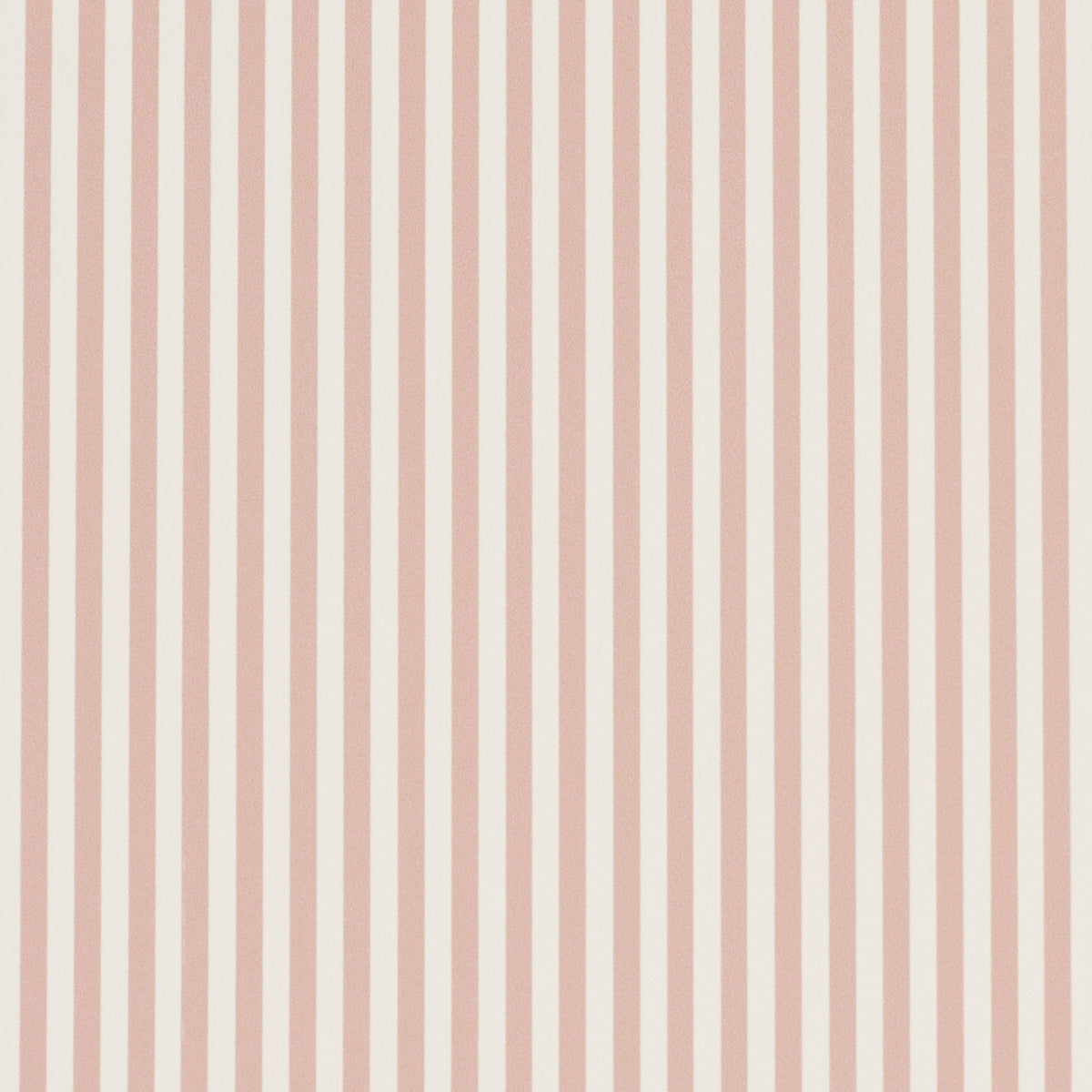 EMMA STRIPE NARROW | Rose