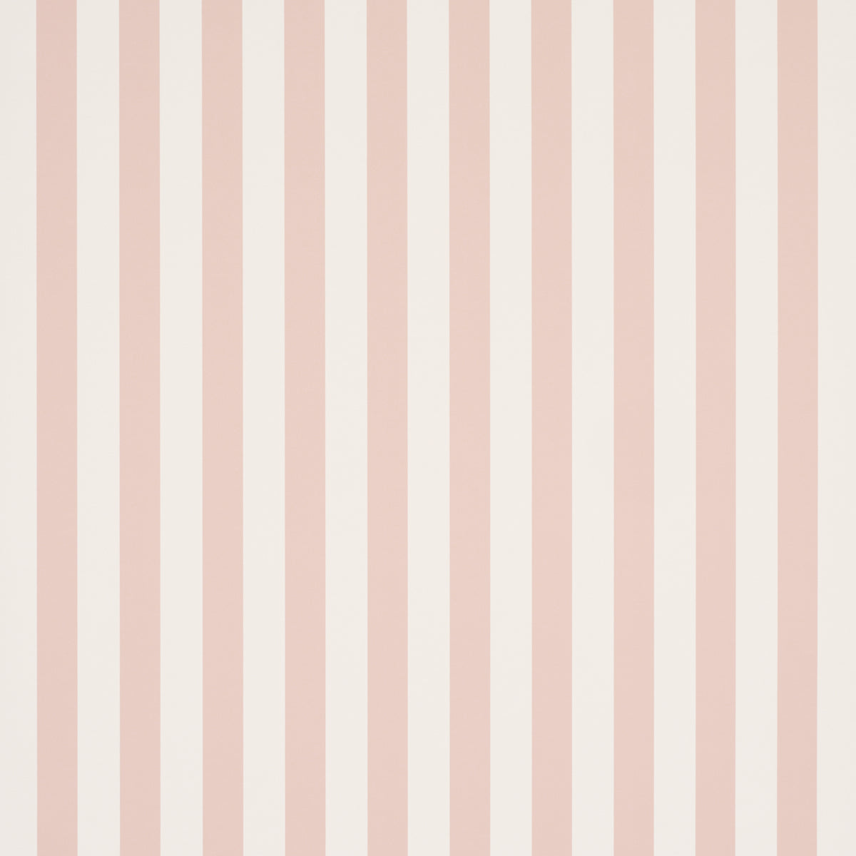 EMMA STRIPE | Blush