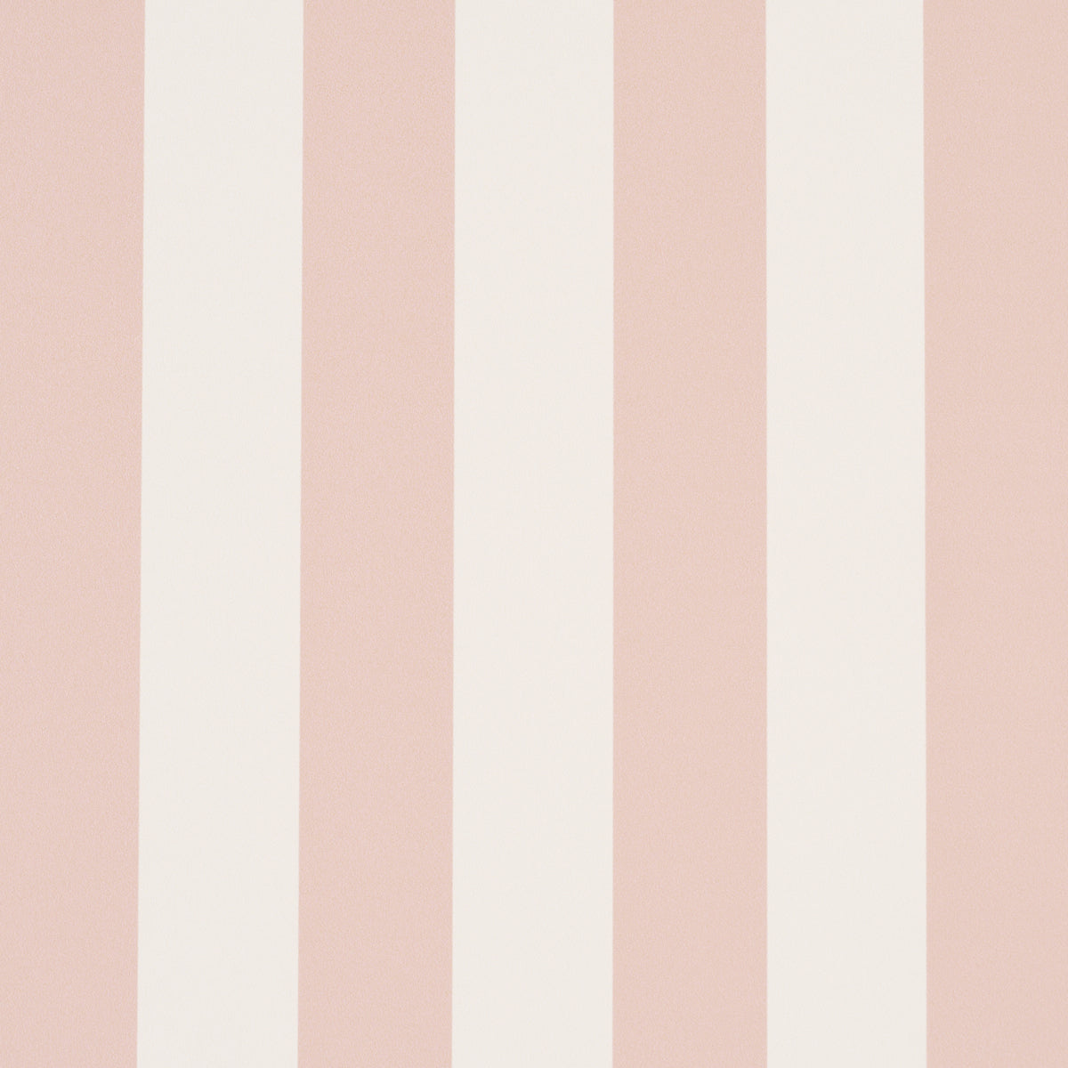 EMMA STRIPE | Blush