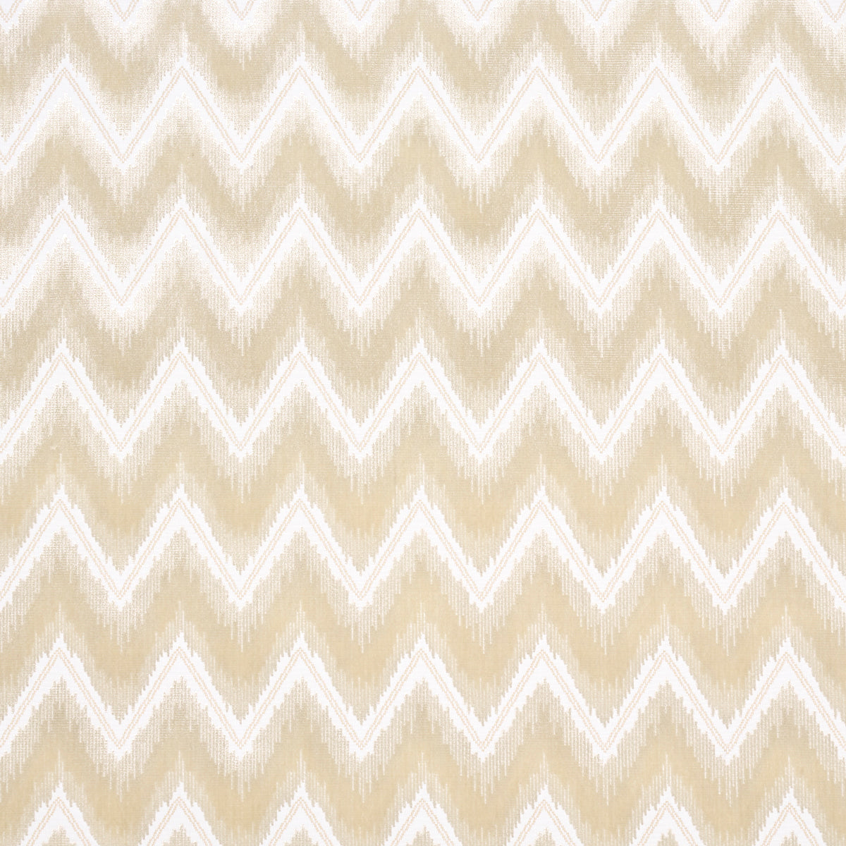 VELLUTO CHEVRON | CHAMPAGNE