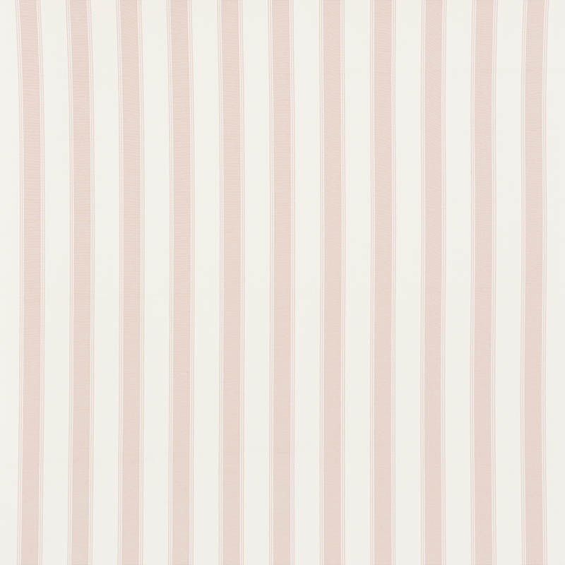 STRISCIA RAFE | ROSA TRANQUILLO