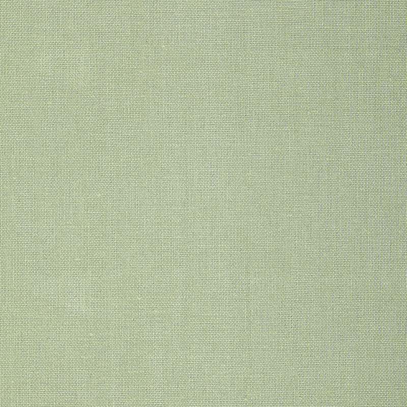 GWENETH LINO | NEBBIA