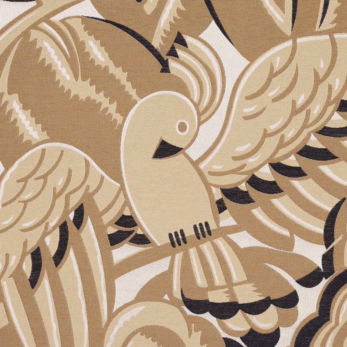 PARROTS MODERNE | Sandstone