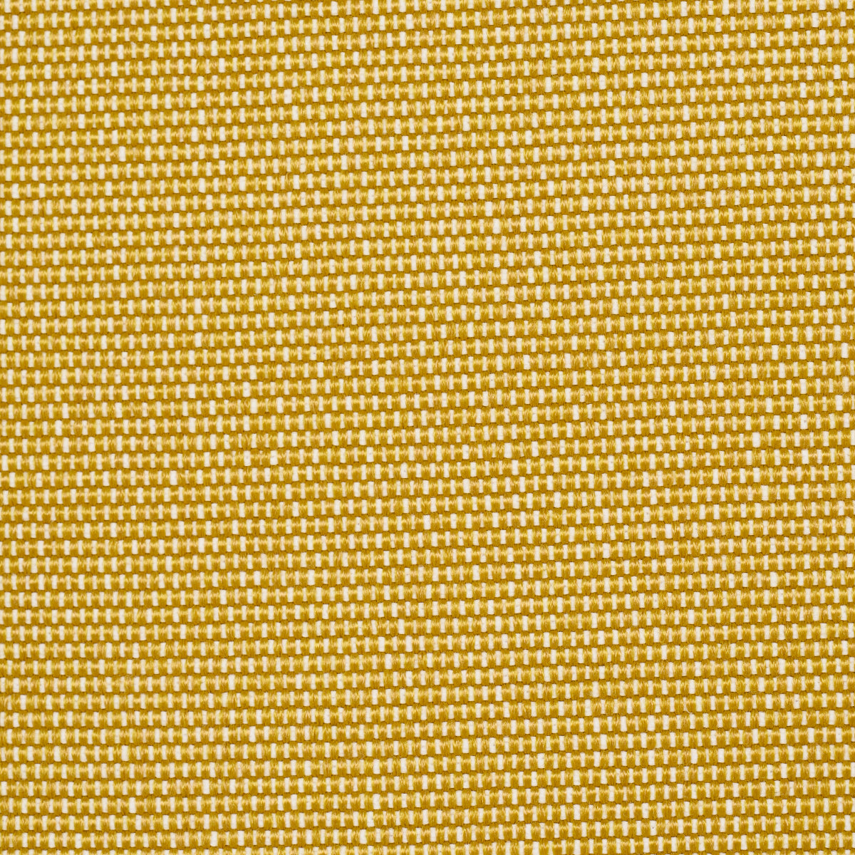 COOPER INDOOR/OUTDOOR | Yellow